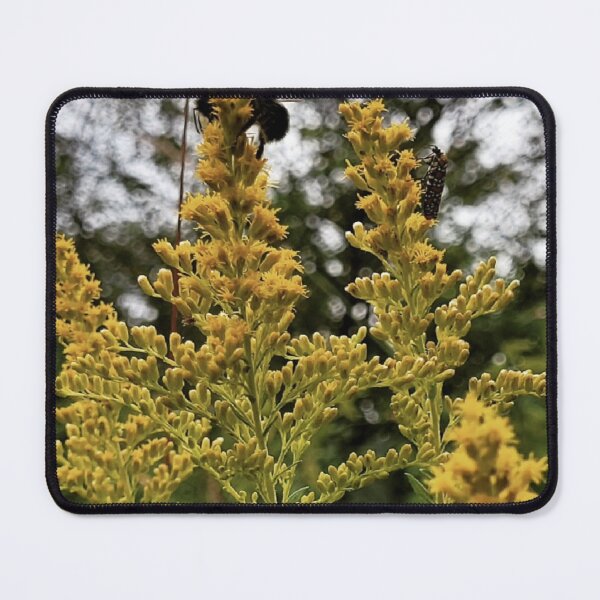 Item preview, Pollinators' Pause designed and sold by Glasswings & Clover.