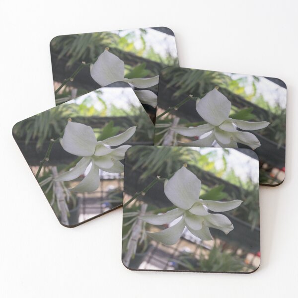 Item preview, Dendrobium orchid designed and sold by ROSE ANN BANILAR.