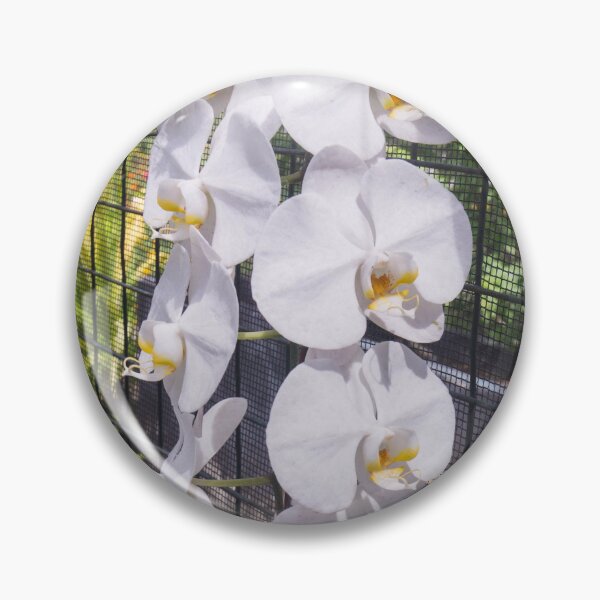 Item preview, Phalaenopsis orchid designed and sold by ROSE ANN BANILAR.