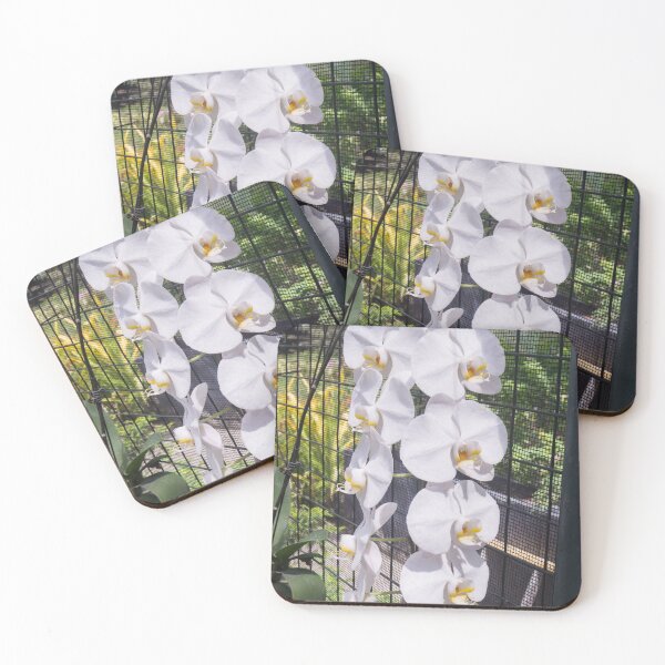 Item preview, Phalaenopsis orchid designed and sold by ROSE ANN BANILAR.