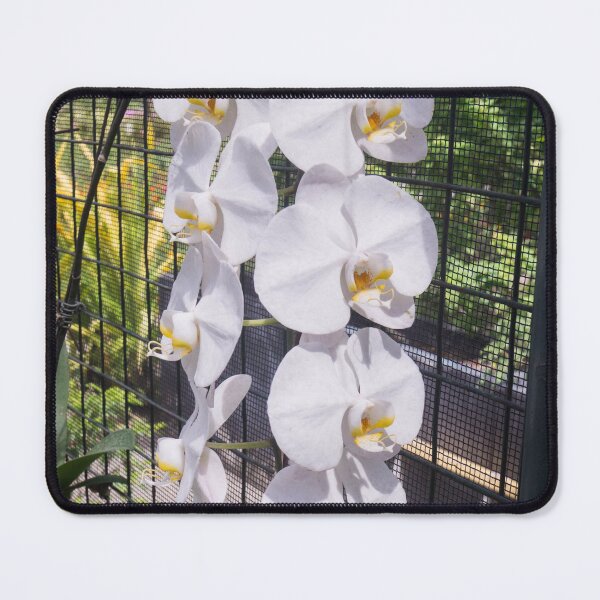 Item preview, Phalaenopsis orchid designed and sold by ROSE ANN BANILAR.
