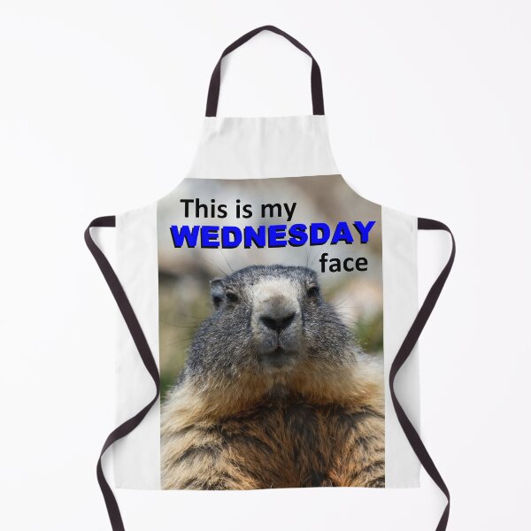 Item preview, This Is My Wednesday Face — Grumpy Marmot Funny Wildlife Meme designed and sold by AnotherMarmot.