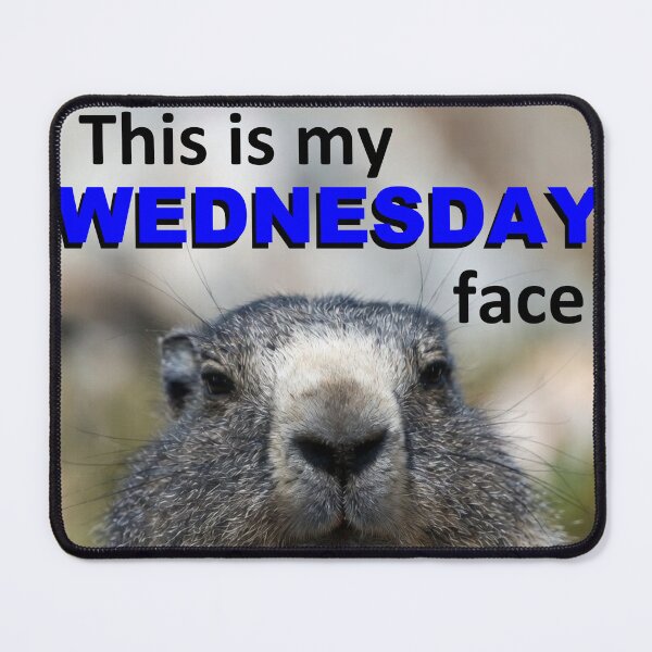 Item preview, This Is My Wednesday Face — Grumpy Marmot Funny Wildlife Meme designed and sold by AnotherMarmot.