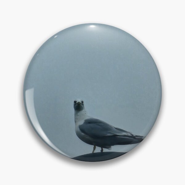 Item preview, Whatcha lookin at seagull designed and sold by TobyFloof.