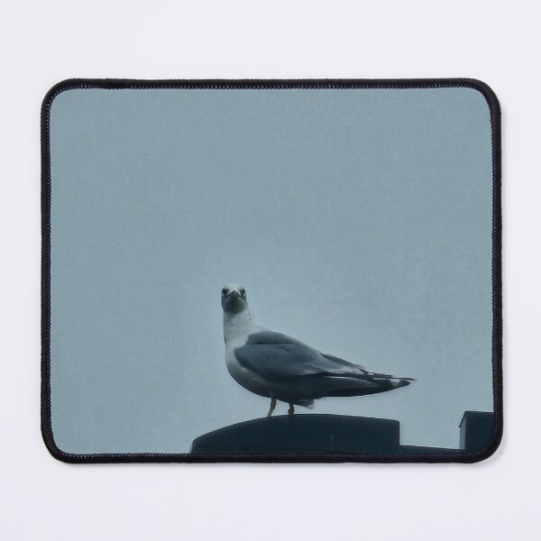 Item preview, Whatcha lookin at seagull designed and sold by TobyFloof.