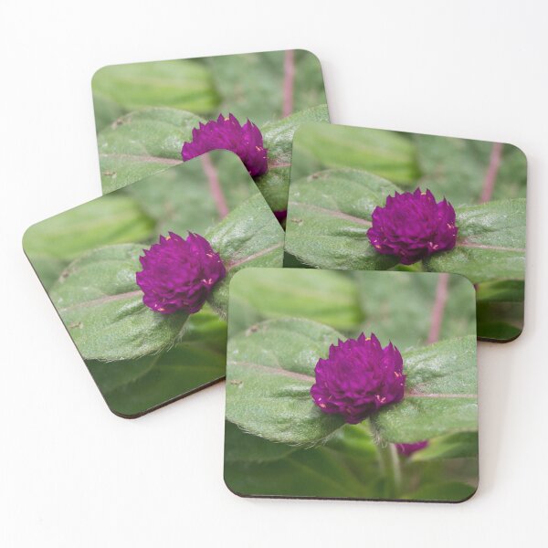 Item preview, purple globe amaranth  designed and sold by ROSE ANN BANILAR.