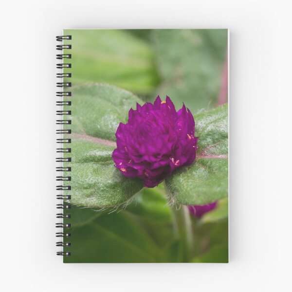 Item preview, purple globe amaranth  designed and sold by ROSE ANN BANILAR.