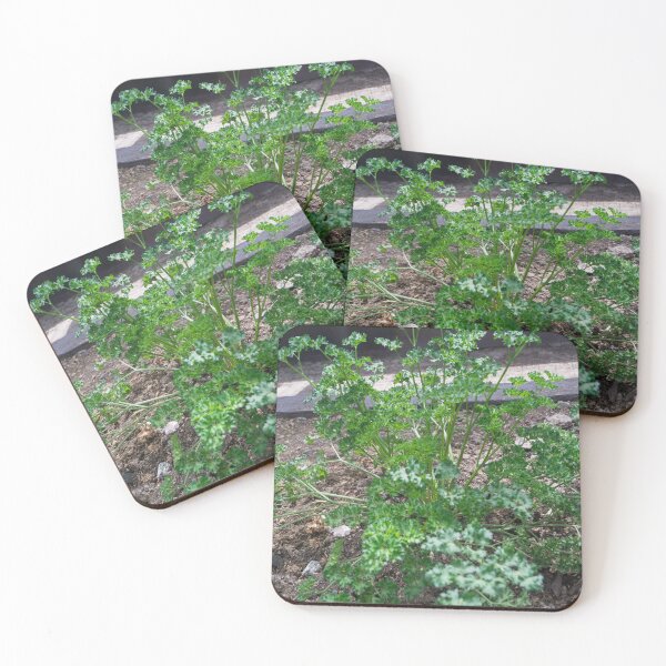 Item preview, Parsley designed and sold by ROSE ANN BANILAR.