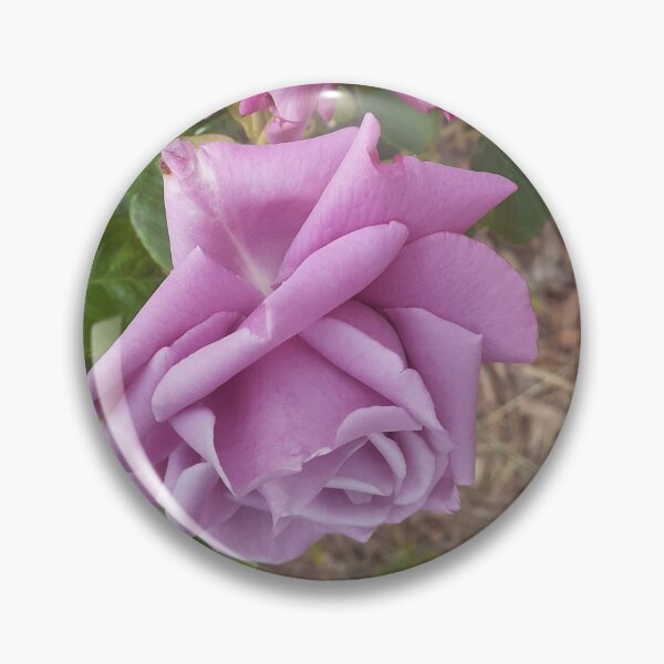 Item preview, Blue Mauve Rose Elegant - Charles De Gaulle designed and sold by Sarah  Rajkotwala.