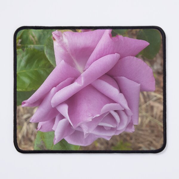 Item preview, Blue Mauve Rose Elegant - Charles De Gaulle designed and sold by Sarah Rajkotwala.
