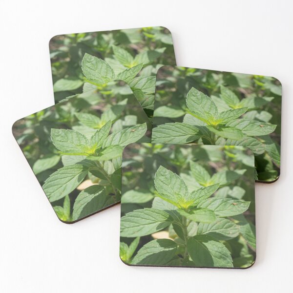Item preview, Mint designed and sold by ROSE ANN BANILAR.