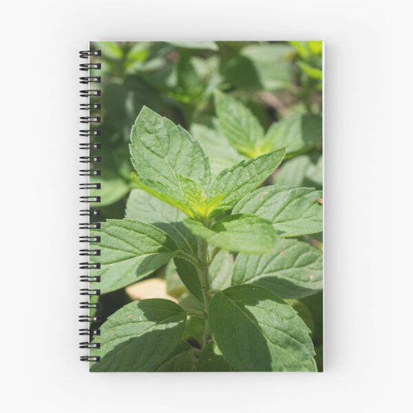 Item preview, Mint designed and sold by ROSE ANN BANILAR.