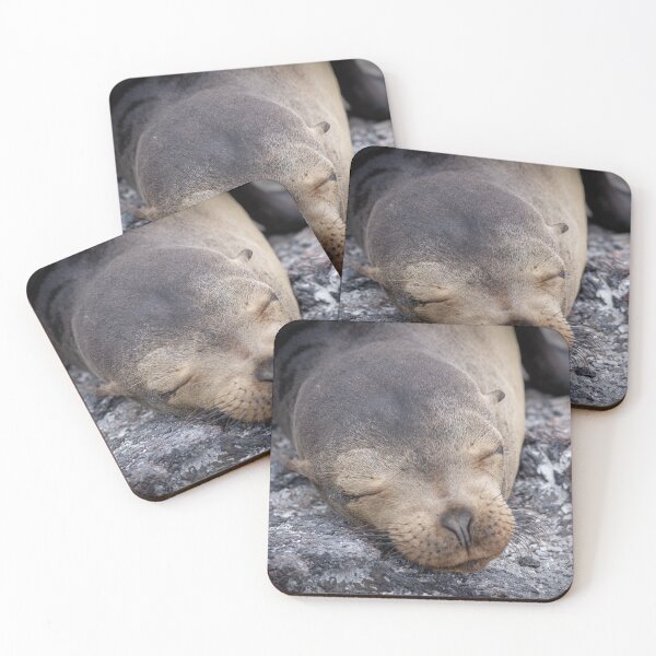 Item preview, Rock Nap – Galápagos Sea Lion Sleeping on Lava Rock, Wildlife Photography designed and sold by WildFrameNature.