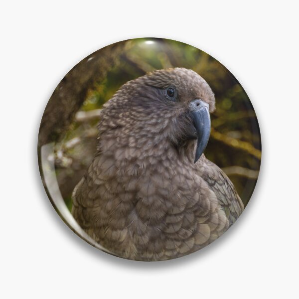 Item preview, Alpine Genius – Kea Mountain Parrot Perched in Forest, New Zealand Wildlife Photography designed and sold by WildFrameNature.
