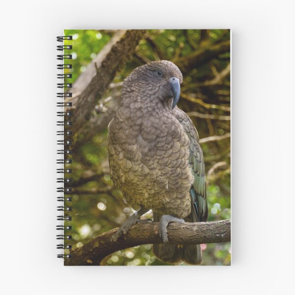 Item preview, Alpine Genius – Kea Mountain Parrot Perched in Forest, New Zealand Wildlife Photography designed and sold by WildFrameNature.