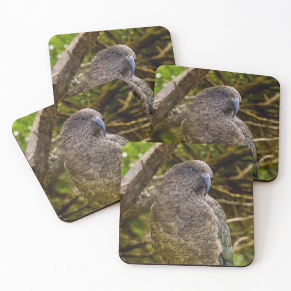 Item preview, Alpine Genius – Kea Mountain Parrot Perched in Forest, New Zealand Wildlife Photography designed and sold by WildFrameNature.