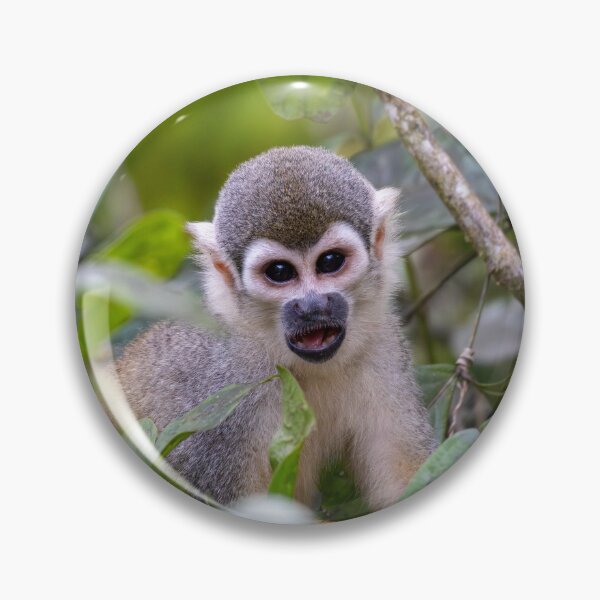 Item preview, Wide-Eyed Wonder – Squirrel Monkey Peering Through Jungle Foliage, Costa Rica Wildlife Photography designed and sold by WildFrameNature.