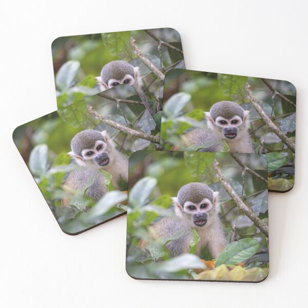 Item preview, Wide-Eyed Wonder – Squirrel Monkey Peering Through Jungle Foliage, Costa Rica Wildlife Photography designed and sold by WildFrameNature.