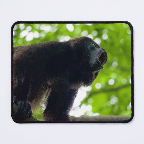 Item preview, The Roar – Male Mantled Howler Monkey Calling in the Canopy, Costa Rica Wildlife Photography designed and sold by WildFrameNature.