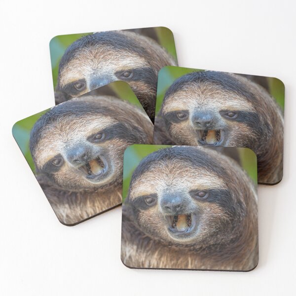 Item preview, Don't Talk to Me – Three-Toed Sloth Showing Teeth, Costa Rica Wildlife Photography designed and sold by WildFrameNature.