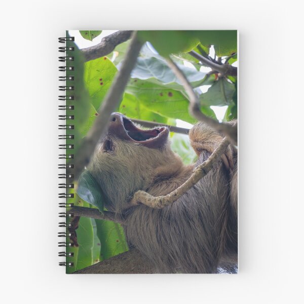 Item preview, Bostezo épico: un perezoso de dos dedos bostezando en la copa de los árboles de la selva tropical, fotografía de vida silvestre de Costa Rica. designed and sold by WildFrameNature.