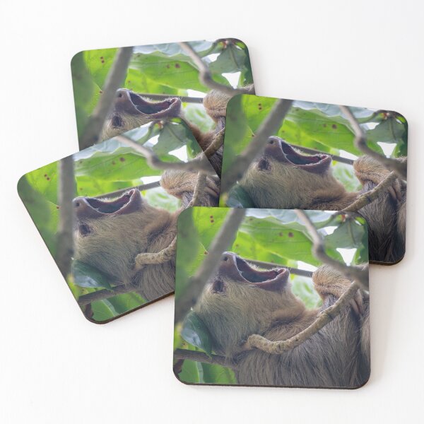Item preview, Epic Yawn – Two-Toed Sloth Yawning in the Rainforest Canopy, Costa Rica Wildlife Photography designed and sold by WildFrameNature.