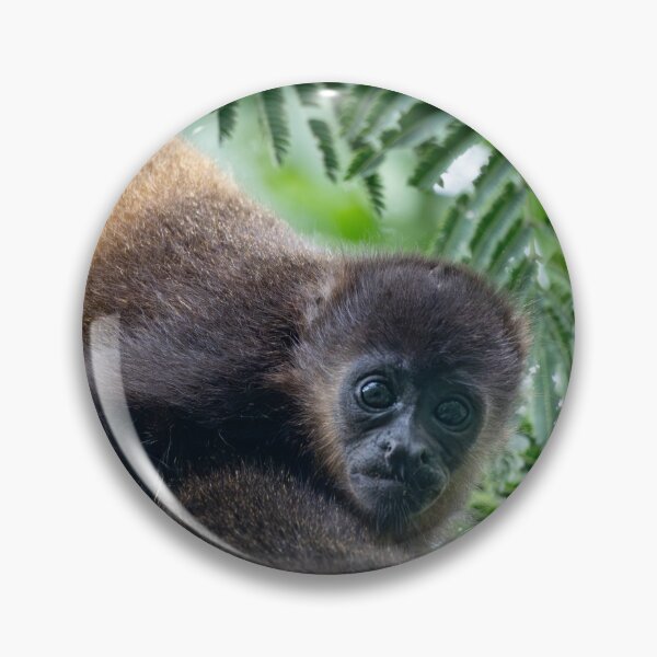 Item preview, Sano y salvo: un mono aullador bebé aferrado a la espalda de su madre, fotografía de vida silvestre en Costa Rica. designed and sold by WildFrameNature.