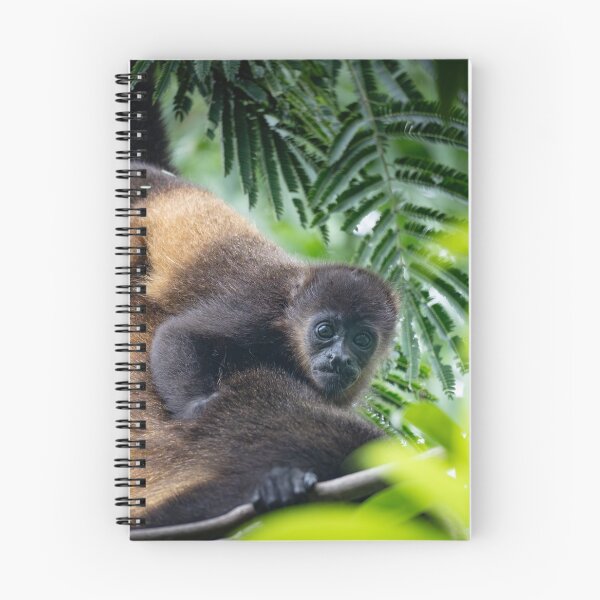 Item preview, Safe and Sound – Baby Howler Monkey Clinging to Mother's Back, Costa Rica Wildlife Photography designed and sold by WildFrameNature.