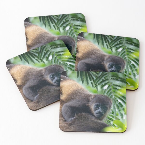 Item preview, Safe and Sound – Baby Howler Monkey Clinging to Mother's Back, Costa Rica Wildlife Photography designed and sold by WildFrameNature.