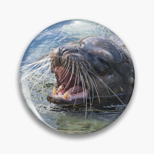 Item preview, King of the Cove – Galápagos Sea Lion Roaring in the Water, Wildlife Photography designed and sold by WildFrameNature.