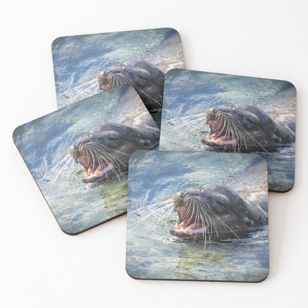 Item preview, King of the Cove – Galápagos Sea Lion Roaring in the Water, Wildlife Photography designed and sold by WildFrameNature.