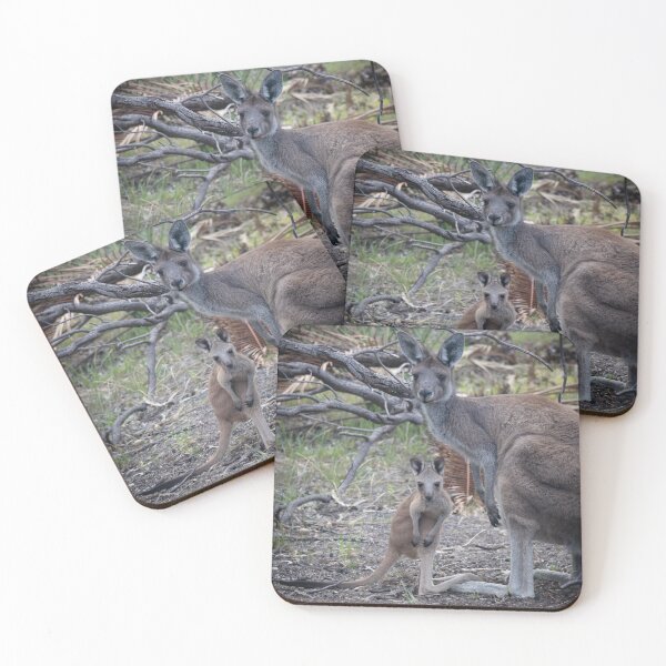 Item preview, Side by Side – Kangaroo Mother and Joey Standing Together, Australia Wildlife Photography designed and sold by WildFrameNature.