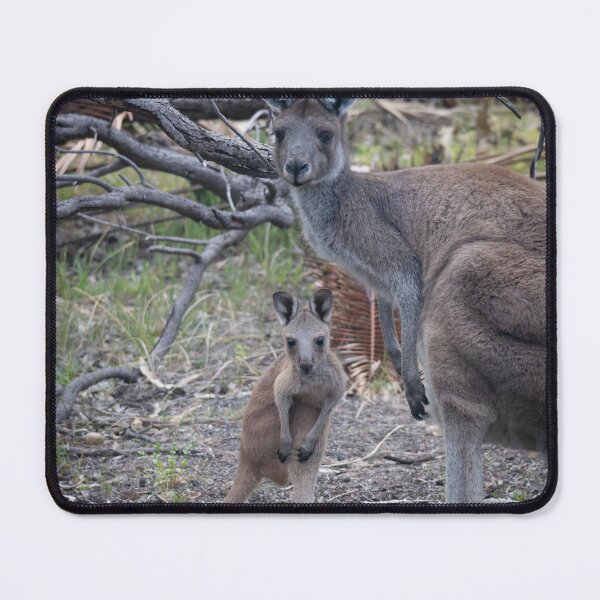 Item preview, Side by Side – Kangaroo Mother and Joey Standing Together, Australia Wildlife Photography designed and sold by WildFrameNature.