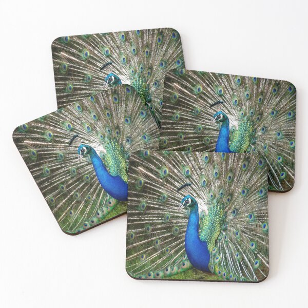 Item preview, Full Display – Indian Peacock Showing Full Tail Fan, Wildlife Photography designed and sold by WildFrameNature.