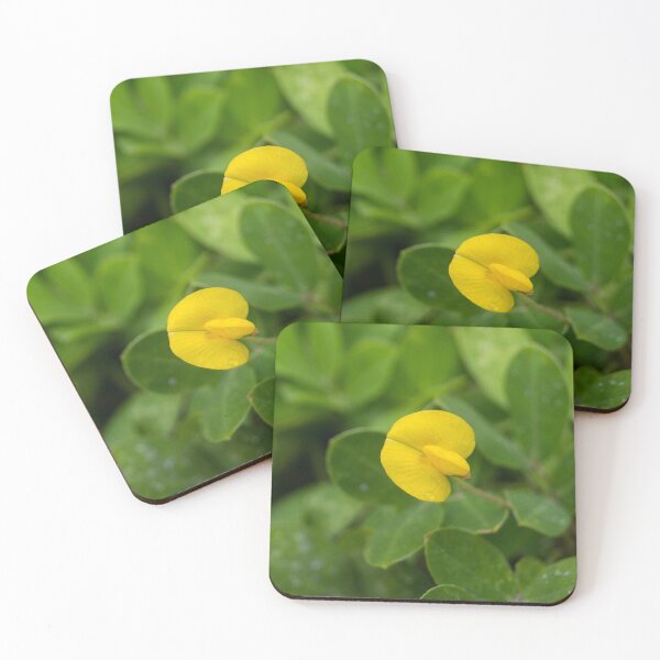Item preview, Pinto peanut designed and sold by ROSE ANN BANILAR.