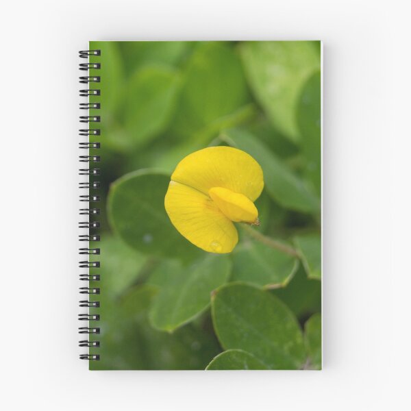 Item preview, Pinto peanut designed and sold by ROSE ANN BANILAR.