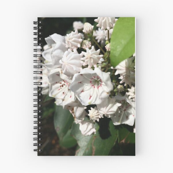 Item preview, Blooms of Mt. Laurel designed and sold by RiBBit15.