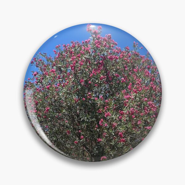 Item preview, Tree bloom in park  designed and sold by Beautyqueens Beautys.
