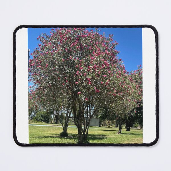 Item preview, Tree bloom in park  designed and sold by Beautyqueens Beautys.