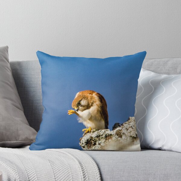 Item preview, nankin kestrel preening  designed and sold by Stephen Quennell.