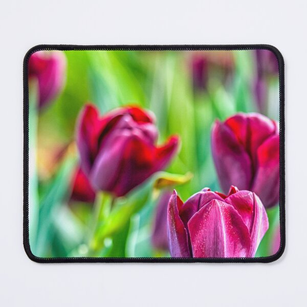 Item preview, Purple tulips designed and sold by Photopat.