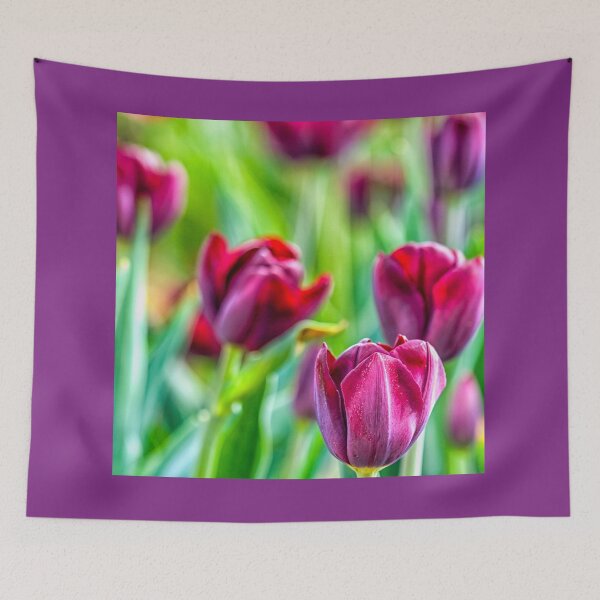 Item preview, Purple tulips designed and sold by Photopat.