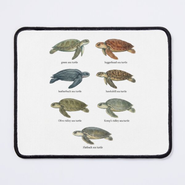 Item preview, Vintage Style Sea Turtle Species designed and sold by ArunDandiboina.