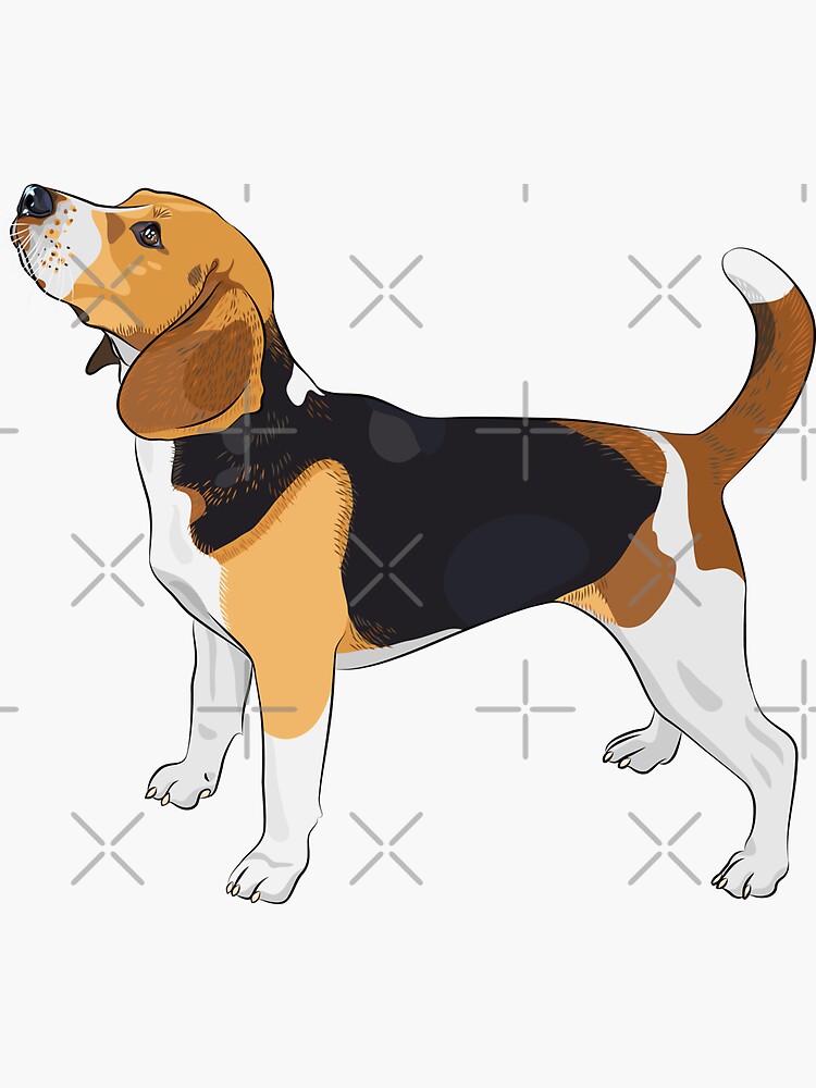Thumbnail 3 of 3, Sticker, Beagle designed and sold by kavalenkava.