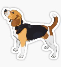 Pegatina Beagle