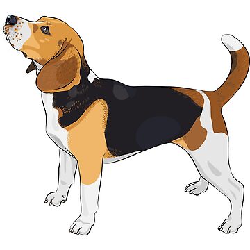 Artwork thumbnail, Beagle by kavalenkavart