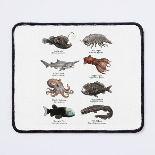 Item preview, Vintage Style Deep Sea Creatures designed and sold by ArunDandiboina.