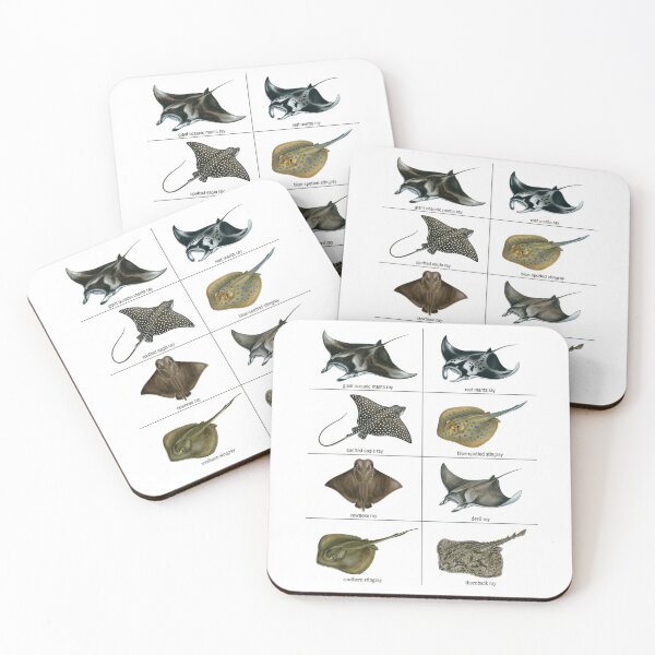 Item preview, Manta and Stingray Species designed and sold by ArunDandiboina.