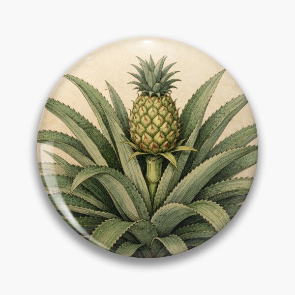 Item preview, Vintage Pineapple Botanical Print – Antique Ananas Comosus Kitchen Wall Art designed and sold by Darlin8888.