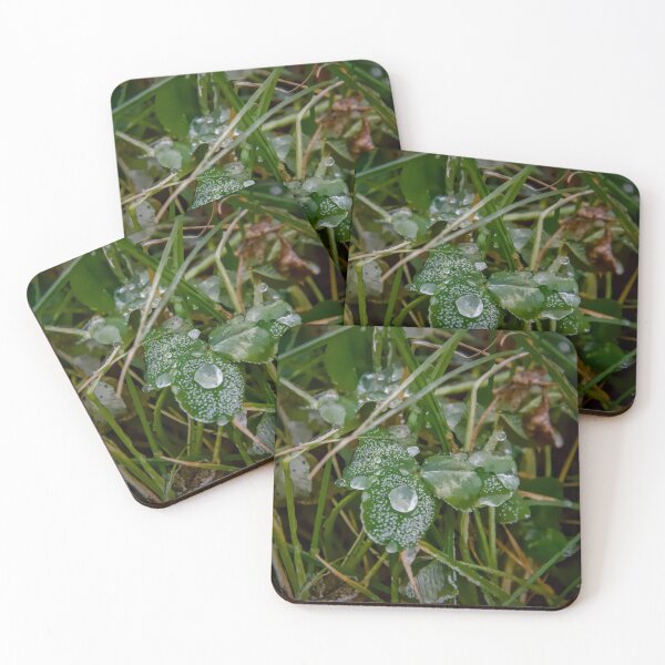Item preview, Icy Crystals on Winter Clover Macro Photo designed and sold by ShotsbyDesiree.